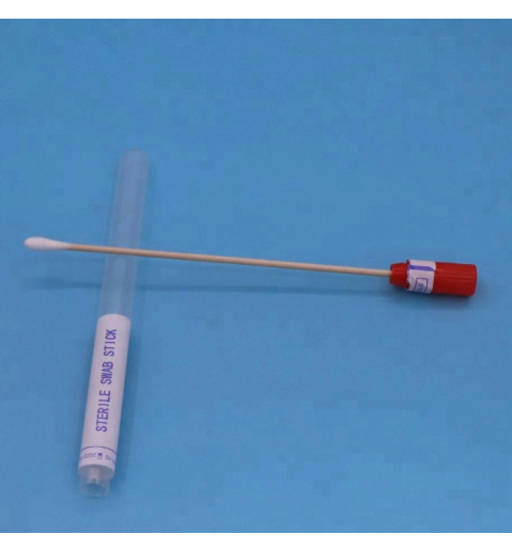 Disposable Medical Sterile transport swab sticks